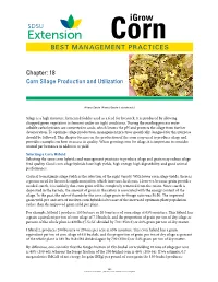 Corn Silage Production and Utilization