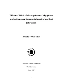 Effects of Vibrio Cholerae Protease and Pigment Production on Environmental Survival and Host Interaction