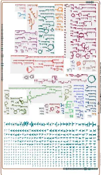 Generate Metabolic Map Poster