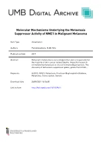 Metastasis Suppressor NME1 Directly Activates Transcription of the ALDOC Gene in Melanoma Cells