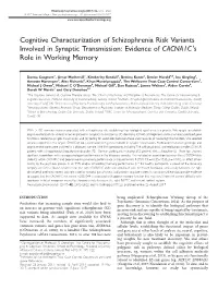 Cognitive Characterization of Schizophrenia Risk Variants Involved in Synaptic Transmission: Evidence of CACNA1C 'S Role in Working Memory