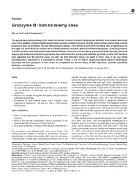 Granzyme M: Behind Enemy Lines