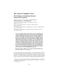 The Anterior Cingulate Cortex the Evolution of an Interface Between Emotion and Cognition