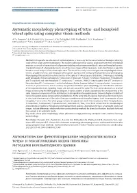 Automatic Morphology Phenotyping of Tetra- and Hexaploid Wheat Spike Using Computer Vision Methods