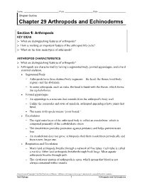 Chapter 29 Arthropods and Echinoderms