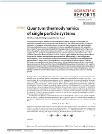 Quantum Thermodynamics of Single Particle Systems Md
