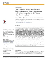 Transcriptome Profiling and Molecular Pathway Analysis of Genes in Association with Salinity Adaptation in Nile Tilapia Oreochromis Niloticus