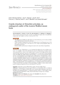 Genetic Structure of Tetraclinis Articulata, an Endangered Conifer of the Western Mediterranean Basin