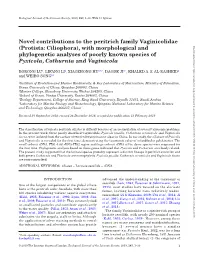 Novel Contributions to the Peritrich Family Vaginicolidae