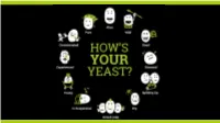 Why Is Cell Viability Important?