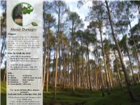 About Dunagiri Climate: the Weather Forecast for Dunagiri Is a Heavy Fall of Snow in Winters, During Summer Temperature Will Be Max 20 C in Day & 10 C in Night