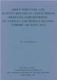 Comoro Archipelago