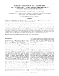 Foraging Behavior of the Lesser Noddy Anous Tenuirostris from the Eastern Indian Ocean: Insights from Micro-Geologging