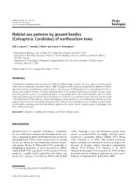 Habitat Use Patterns by Ground Beetles (Coleoptera: Carabidae) of Northeastern Iowa