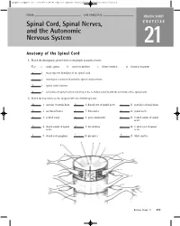 Spinal Cord, Spinal Nerves, and the Autonomic Nervous System