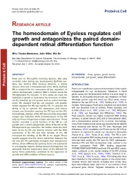 The Homeodomain of Eyeless Regulates Cell Growth and Antagonizes the Paired Domain- Dependent Retinal Differentiation Function