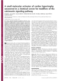 A Small Molecular Activator of Cardiac Hypertrophy Uncovered in a Chemical Screen for Modifiers of the Calcineurin Signaling Pathway
