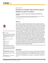 Evolution of Canada's Boreal Forest Spatial Patterns As Seen from Space