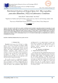 Macrognathus Pancalus (Hamilton, 1822) in Laboratory Condition