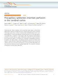 Precapillary Sphincters Maintain Perfusion in the Cerebral Cortex