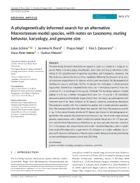 A Phylogenetically Informed Search for an Alternative Macrostomum Model Species, with Notes on Taxonomy, Mating Behavior, Karyology, and Genome Size