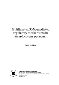 Multifaceted RNA-Mediated Regulatory Mechanisms in Streptococcus Pyogenes