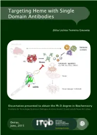 Targeting Heme with Single Domain Antibodies