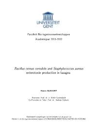 Bacillus Cereus Cereulide and Staphylococcus Aureus Enterotoxin Production in Lasagna