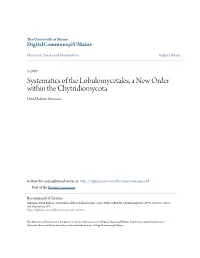 Systematics of the Lobulomycetales, a New Order Within the Chytridiomycota David Rabern Simmons