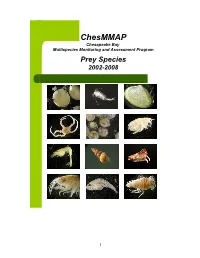 Chesmmap Diet Guide