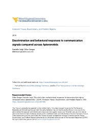 Discrimination and Behavioral Responses to Communication Signals Compared Across Apteronotids