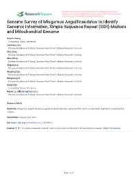 Genome Survey of Misgurnus Anguillicaudatus to Identify Genomic Information, Simple Sequence Repeat (SSR) Markers and Mitochondrial Genome