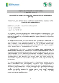 Reoi) (Consulting Services) Nile Basin Intiative (Nbi