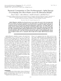 Bacterial Communities of Two Parthenogenetic Aphid Species Cocolonizing Two Host Plants Across the Hawaiian Islandsᰔ Ryan T