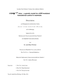 C/EBP ∆Uorf Mice – a Genetic Model for Uorf-Mediated Translational Control in Mammals