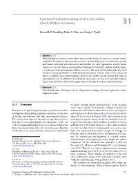 Current Understanding of the Circadian Clock Within Cnidaria 31