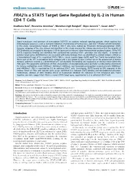 FRA2 Is a STAT5 Target Gene Regulated by IL-2 in Human CD4 T Cells