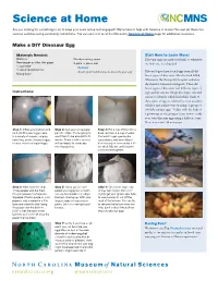 Make a DIY Dinosaur Egg (PDF)