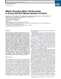 Mitotic Rounding Alters Cell Geometry to Ensure Efficient Bipolar Spindle Formation