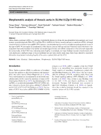 Morphometric Analysis of Thoracic Aorta in Slc39a13/Zip13-KO Mice