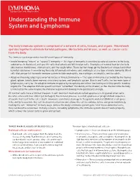 Understanding the Immune System and Lymphoma