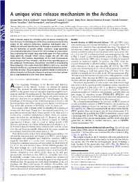 A Unique Virus Release Mechanism in the Archaea