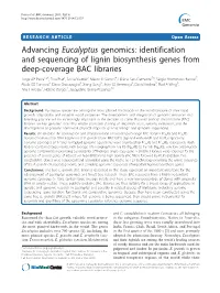Identification and Sequencing of Lignin Biosynthesis