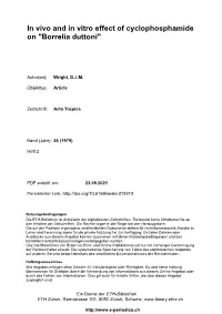 Borrelia Duttoni"