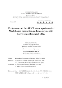 Performance of the ALICE Muon Spectrometer. Weak Boson Production and Measurement in Heavy-Ion Collisions at LHC