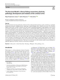 The Structural Model: a Theory Linking Connections, Plasticity, Pathology, Development and Evolution of the Cerebral Cortex