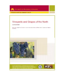 Vineyards and Grapes of the North: a Status Report