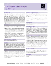 VPS39 Shrna Plasmid (H): Sc-90114-SH