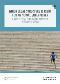 Which Legal Structure Is Right for My Social Enterprise? a Guide to Establishing a Social Enterprise in the United States