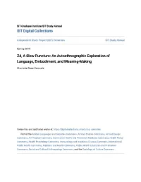 Z4, a Slow Puncture: an Autoethnographic Exploration of Language, Embodiment, and Meaning-Making
